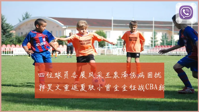 四位球员各展风采王泉泽伤病困扰郭昊文重返夏联小曾金金征战CBA新赛季
