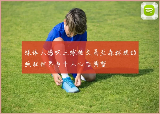 媒体人感叹三球被交易至森林狼的疯狂世界与个人心态调整